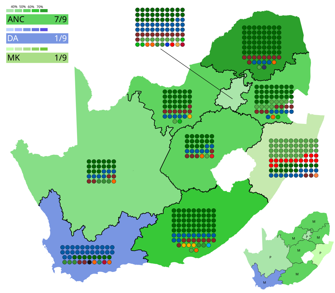 2024 South African provincial elections