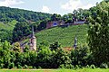 Vineyards in Klingenberg-am-Main