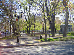 Square Saint-Louis3.JPG