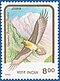 Stamp of India - 1992 - Colnect 164336 - Lammergeier Gypaetus barbatus ssp aureus.jpeg