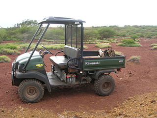 Side-by-side (vehicle) Type of off-road vehicle