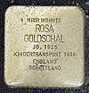 Stolperstein Almstadtstr 36 (Mitte) Rosa Goldschal.jpg