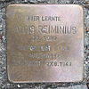 Stumbling block for Alois Reiminius