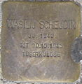 image=FILE:Stolperstein_Pforzheim_Schejdin_Wasilij.jpeg