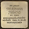 wikimedia_commons=File:Stolperstein für Steuermann Zsigmond - Zsigmond Steuermann (Budapest).jpg