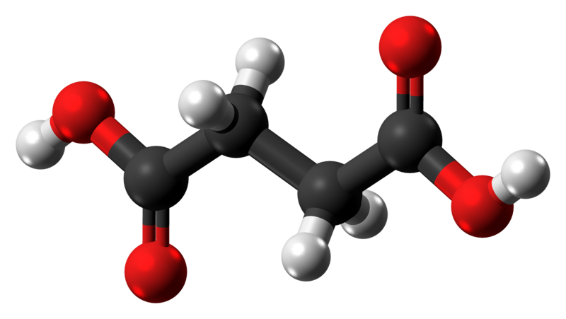 File:Succinic acid molecule ball from xtal.png