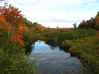 Sunkhaze Meadows National Wildlife Refuge