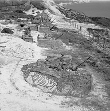 LAA guns emplaced on the South Coast, August 1944. The British Army in the United Kingdom 1939-45 H39810.jpg