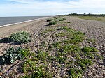 The Haven, Aldeburgh