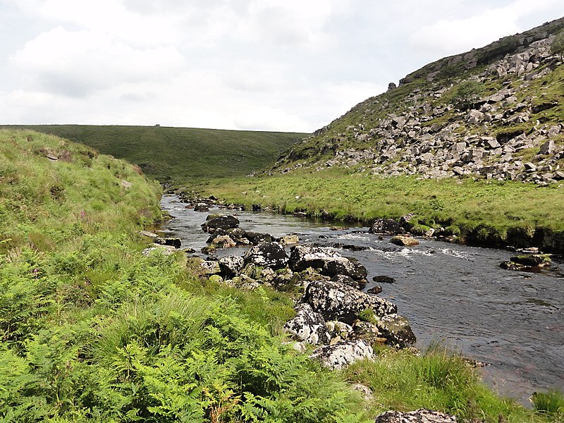 File:The River Tavy in Tavy Cleave - geograph.org.uk - 3438947.jpg