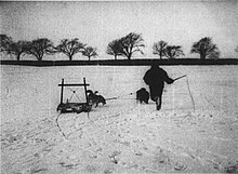 Screenshot from the 1897 film Korsel med Gronlandske Hunde Traveling with Greenlandic Dogs.jpg