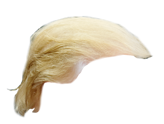 File:Trump  - Wikimedia Commons