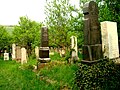 Cimitirul mozaic din cartierul Turda Nouă