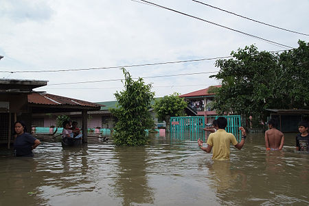 Fail:Typhoon Ketsana aftermath near Laguna Lake1.jpg