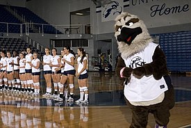 Volleyball team with Ozzie in UNF Arena UNF volleyball and Ozzie.jpg
