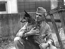 Soldiers stationed in Australia during WWII played a role in the breed's introduction to the US. US Soldier with cattle dog.jpg