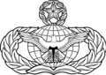 USAF Master Force Schutzabzeichen