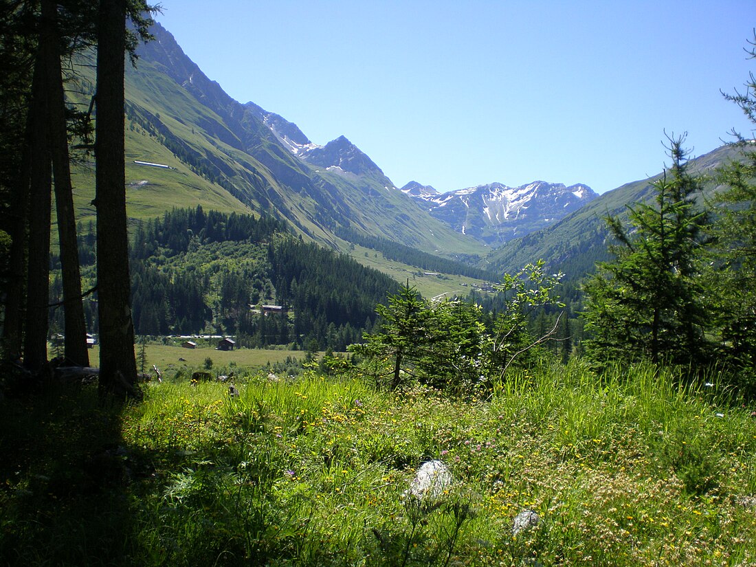 File:Val Ferret-CH.jpg