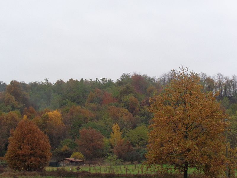 File:Veduta autunnale.jpg