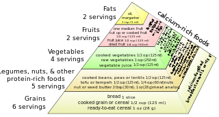 Diéta és táplálkozás típusok