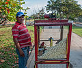 * Nomination Vendedor de Cotufas, Paseo del Lago, Maracaibo --The Photographer 13:18, 29 October 2012 (UTC) * Decline Bit unsharp and unfortunate expression. --Mattbuck 02:01, 3 November 2012 (UTC)