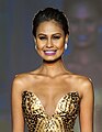 Venus Raj Miss Universe 2010 4th runner-up