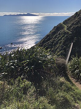 View from Escarpment track towards Kapiti.jpg