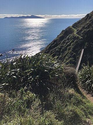 <span class="mw-page-title-main">Escarpment Track</span> Hiking track in New Zealand
