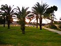 Afridar Park, Ashkelon