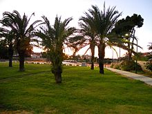 View of the park in Afridar, Ashqelon, Israel.jpg