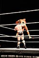 WWE Smackdown IMG 0396 (11704978803).jpg