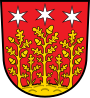 Brasão de armas de Reichelsheim