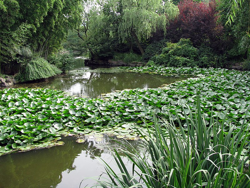 File:West Lake Hangzhou 5.jpg