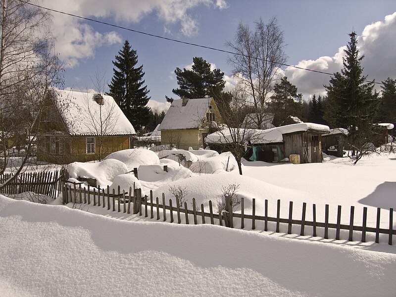 Файл:Winter in village Mga.jpg