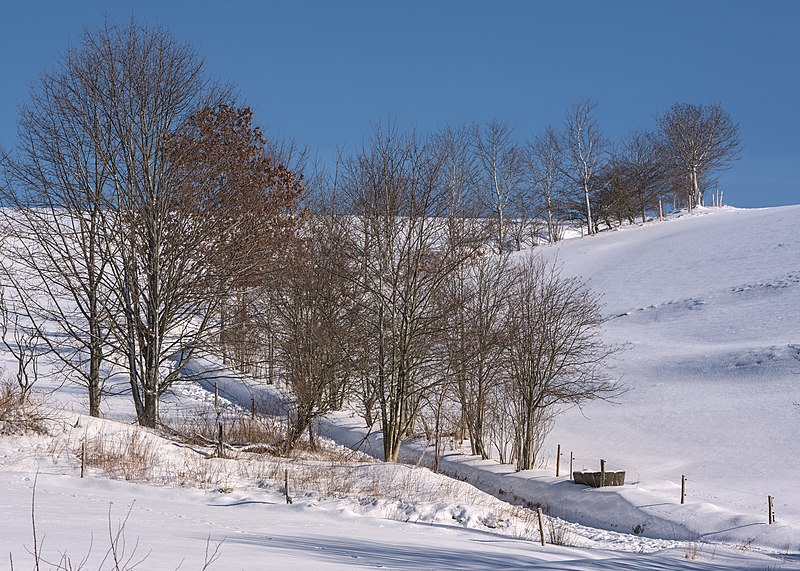 File:Winterlandschaft mit altem Weg von Rechenberg nach Holzhau.jpg