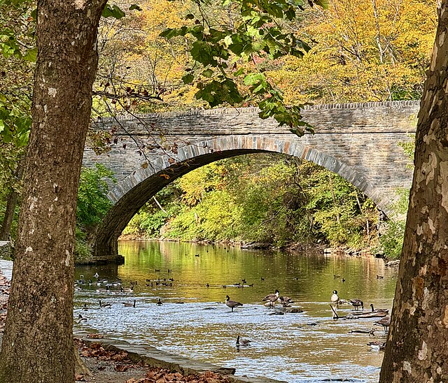 Wissahickon Creek runs under the Valley Green Bridge in Philadelphia
