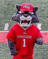 * Nomination Wolfie the Seawolf, the Stony Brook mascot, on the field.I, the copyright holder of this work, hereby publish it under the following license: --Kzirkel 23:01, 31 December 2023 (UTC) * Promotion Good quality. --Cayambe 08:07, 6 January 2024 (UTC)