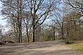 Wuppertal Nordpark 2015 299.jpg