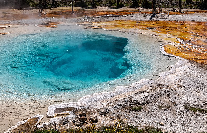 File:Yellowstone National Park (WY, USA), Silex Spring -- 2022 -- 2477.jpg