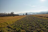 Kotlina Jasielska-Pejzaż wschodniej Dobryni