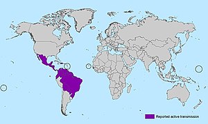 2015-2016 Brot Del Virus Zika A Amèrica