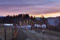 Zug beim laufen im Morgengrauen