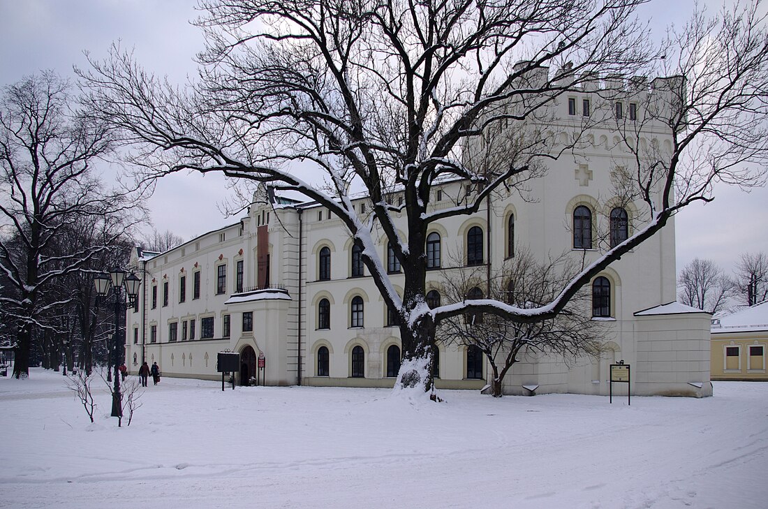 Старый Живецкий замок