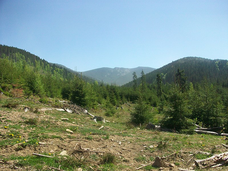 File:Гора Пікун (вигляд з дороги від села Бистриця до урочища Озірне).JPG