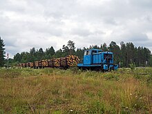 Belorucheyskaya forest railway in 2015