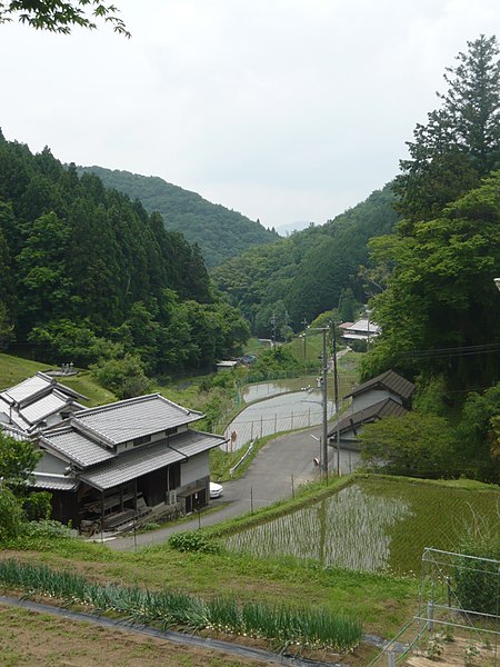 File:小谷口にて 2011.6.03 - panoramio.jpg