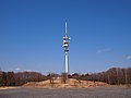 2017年10月25日 (水) 10:22時点における版のサムネイル