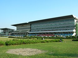 浦和競馬場