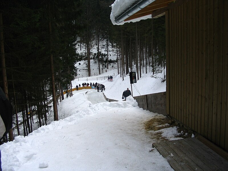 File:2005-02-20 (105) Hornschlitten-Eruopacuprennen in Kindberg, Austria.jpg