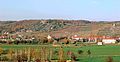 Historical vineyard landscape in Radebeul